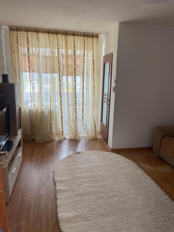 Garsoniera -single 91 Apartment Bucharest