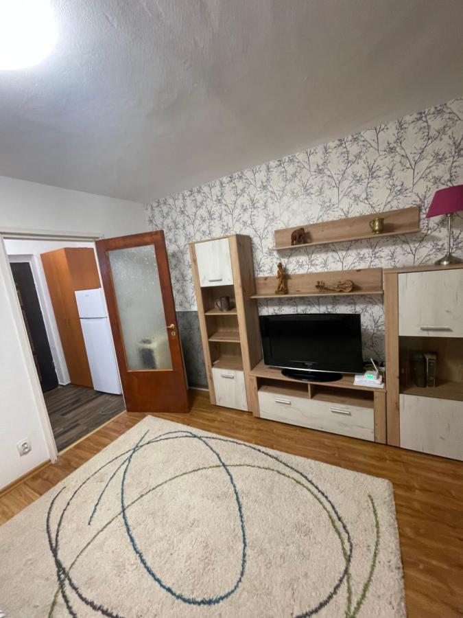 Apartment Garsoniera -single 91