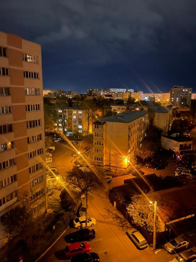 Apartment Garsoniera -single 91
